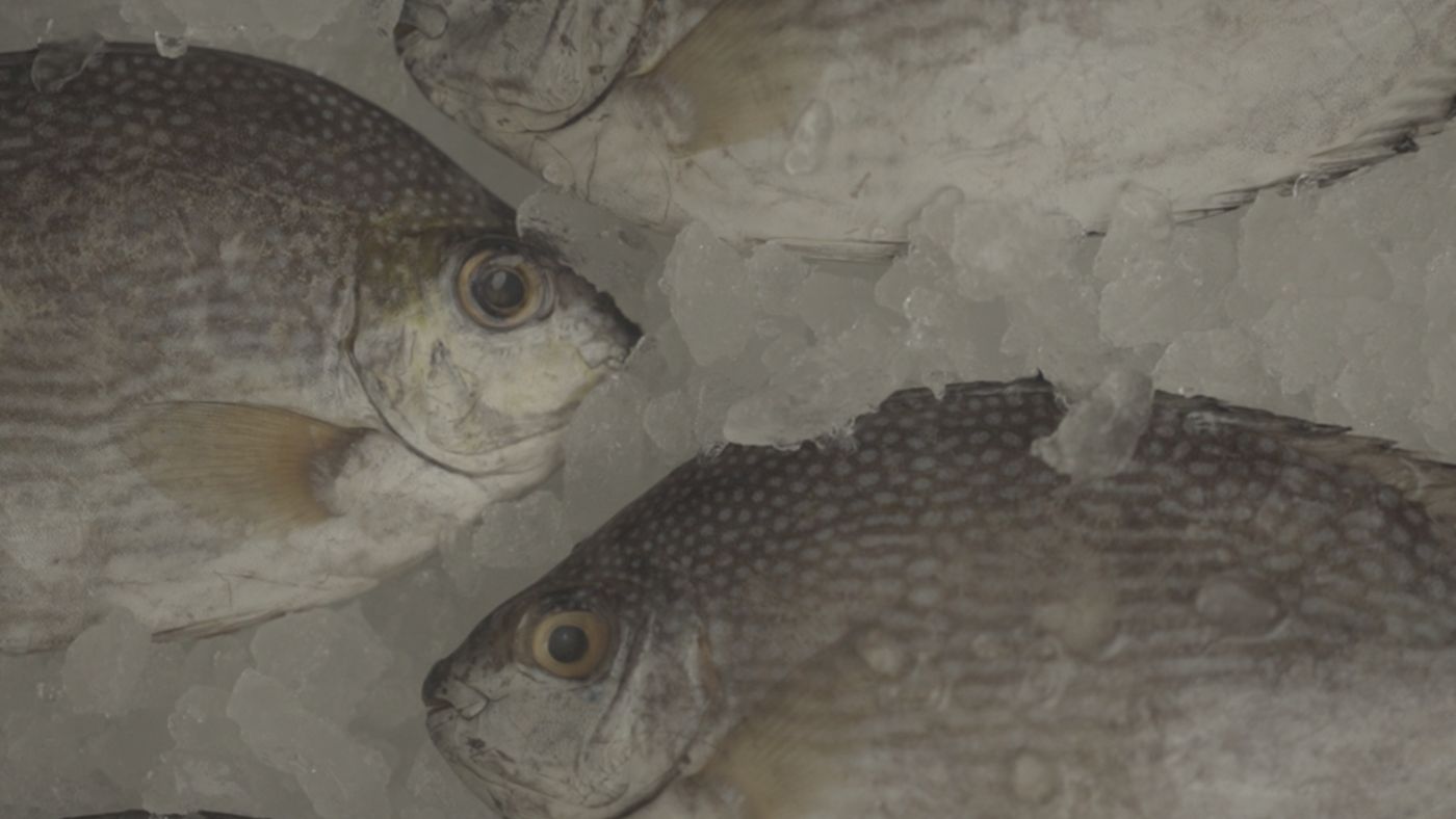 Still from Mother of the Sea
