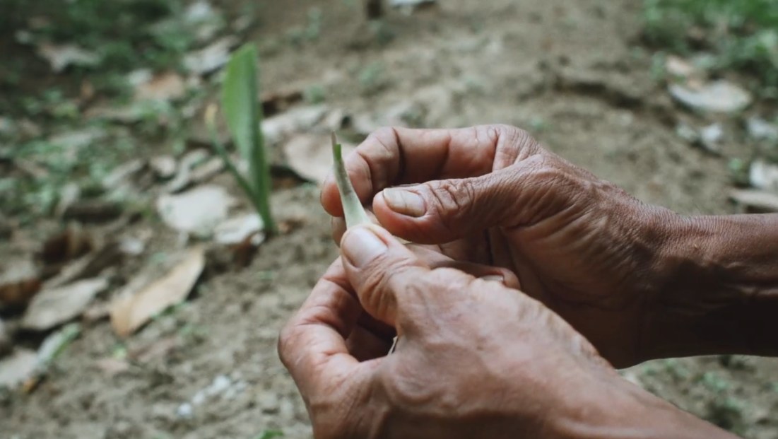 Still dari A Tale of the Stolen River