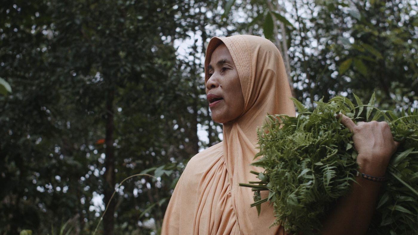Still dari A Tale of the Stolen River